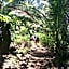 Open Gate Hostel Hawaii