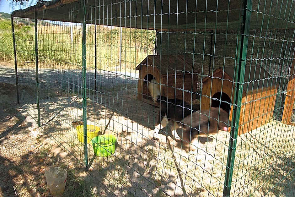 Villaggio Hotel Lido San Giuseppe