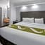 Quality Inn & Suites Richardson-Dallas