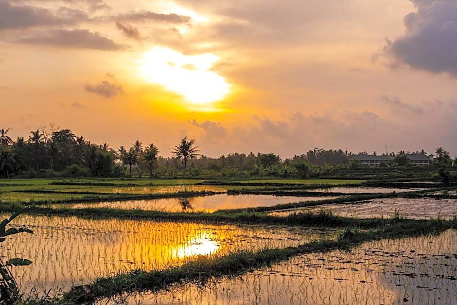 Suga Estate - Rice Field View Villas
