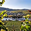 Weingut Weich