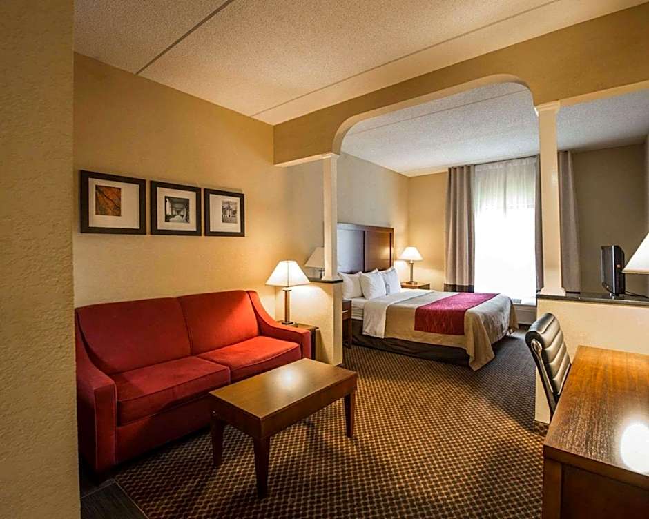Comfort Inn & Suites Morganton South