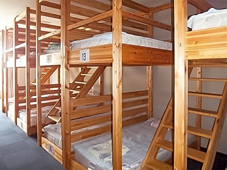Bunk Bed in Mixed Dormitory Room