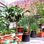 Albergo Avalon