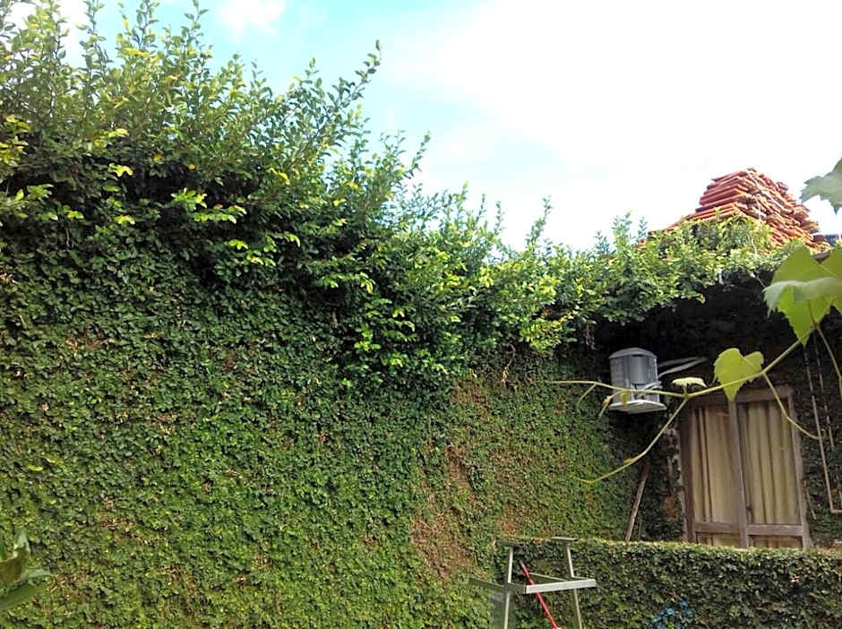 Pousada da Lu em Pelotas