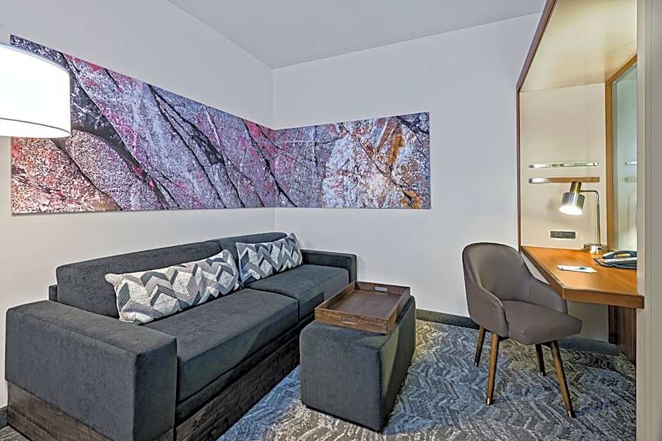 SpringHill Suites by Marriott San Antonio SeaWorld/Lackland