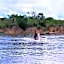 Africa Safari Selous Nyerere national park