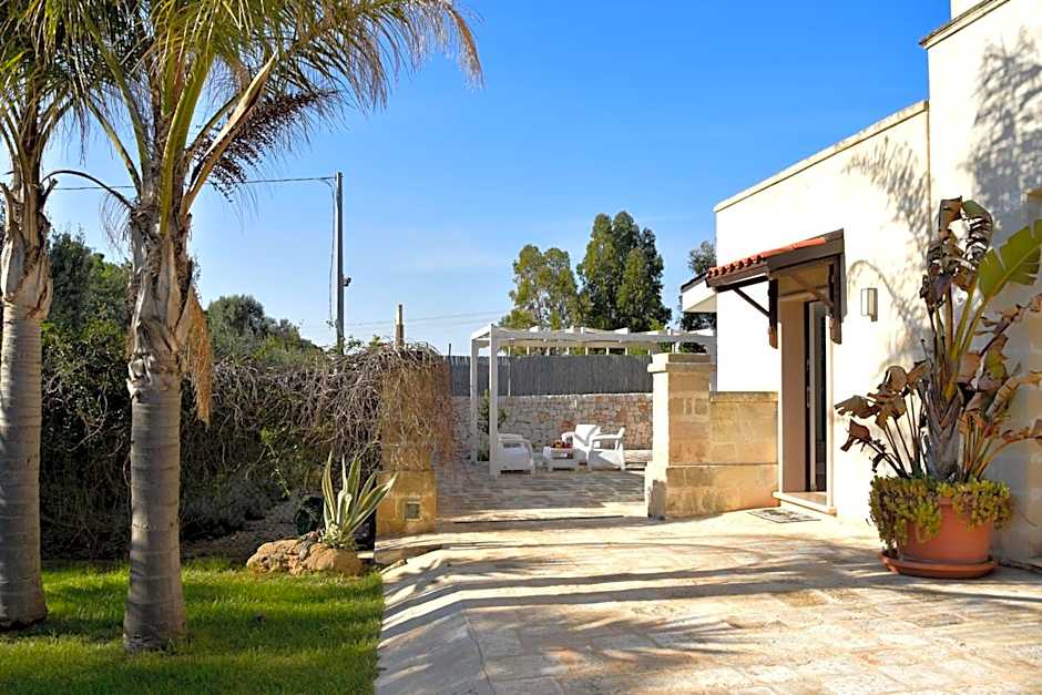 OLYMPUS PARK amnesia