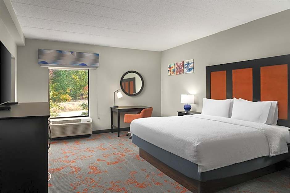 Photo 1 of 4 of 1 King Bed with Sofabed