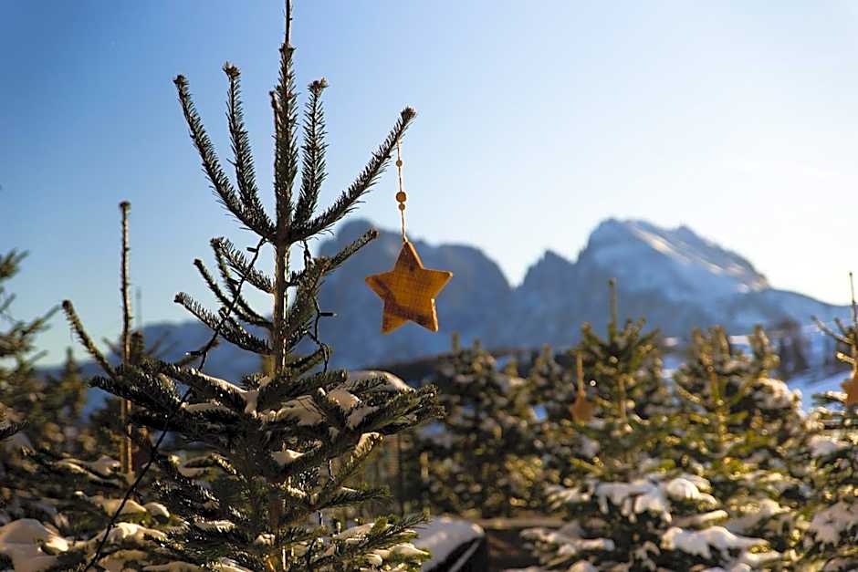 COMO Alpina Dolomites