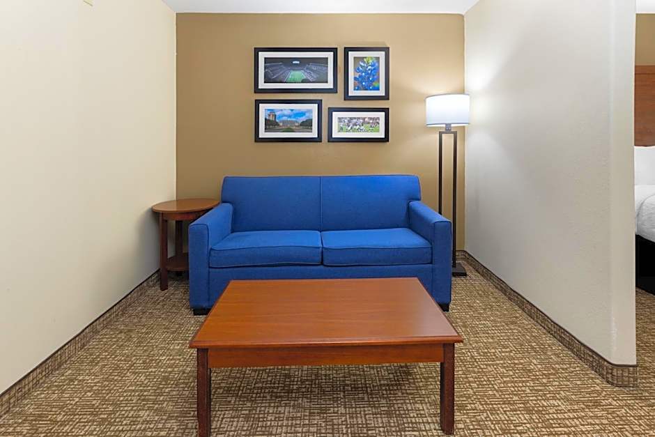 Wingate by Wyndham College Station South