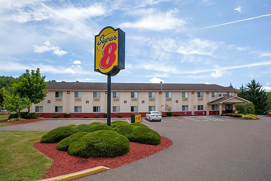 Super 8 by Wyndham Sidney NY