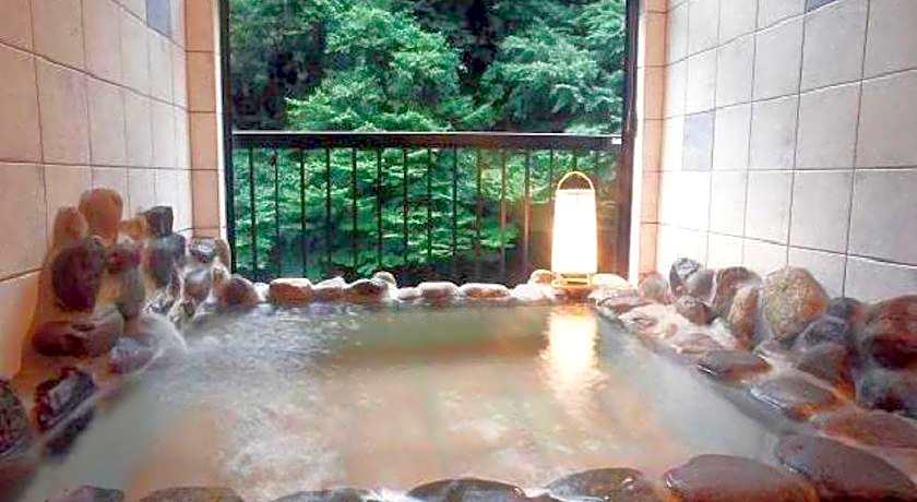 Shima Onsen Ichigekan