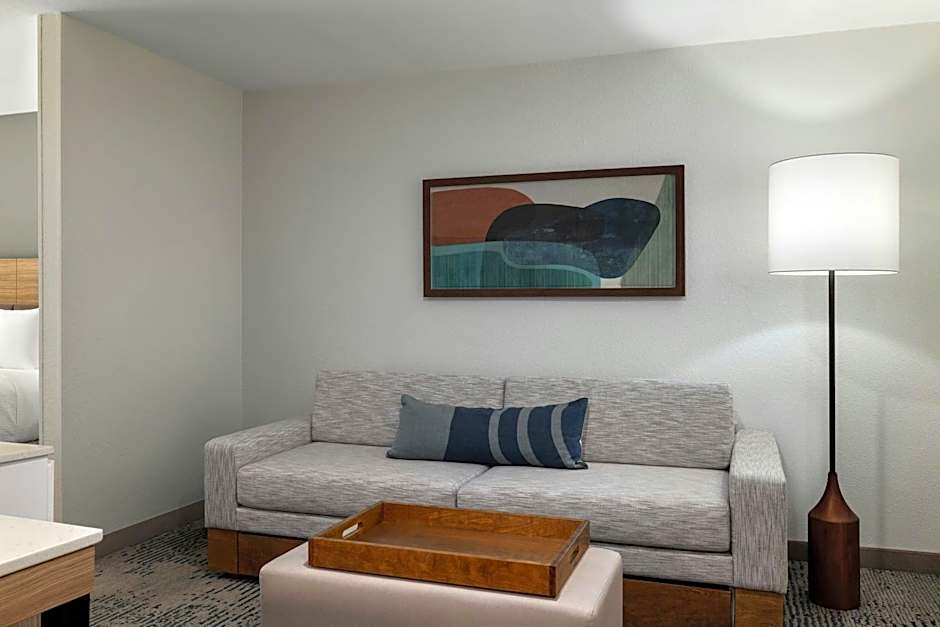 SpringHill Suites by Marriott Dallas Arlington North