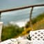 Ocean Hideaway Bed and Breakfast