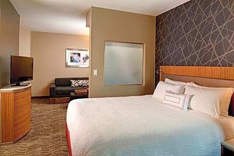 Studio, 1 King Bed (1 King Bed)