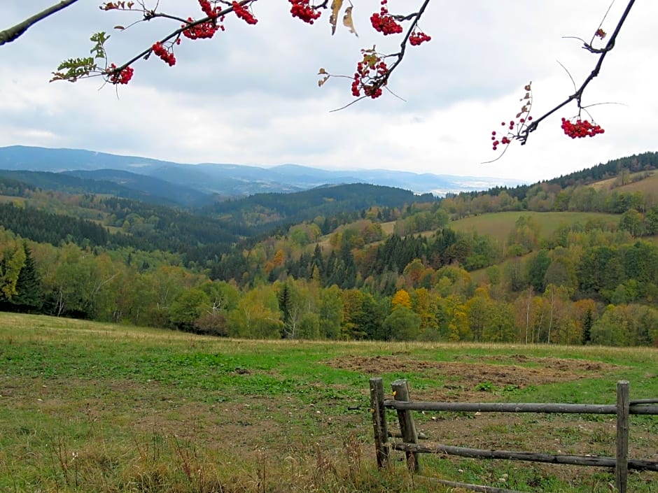 Hotel Srní depandance - Šumava