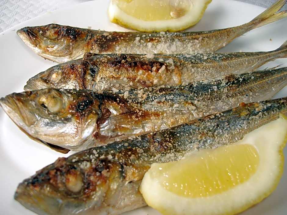 Hotel Palacio Blanco