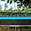 Bintang Bungalow