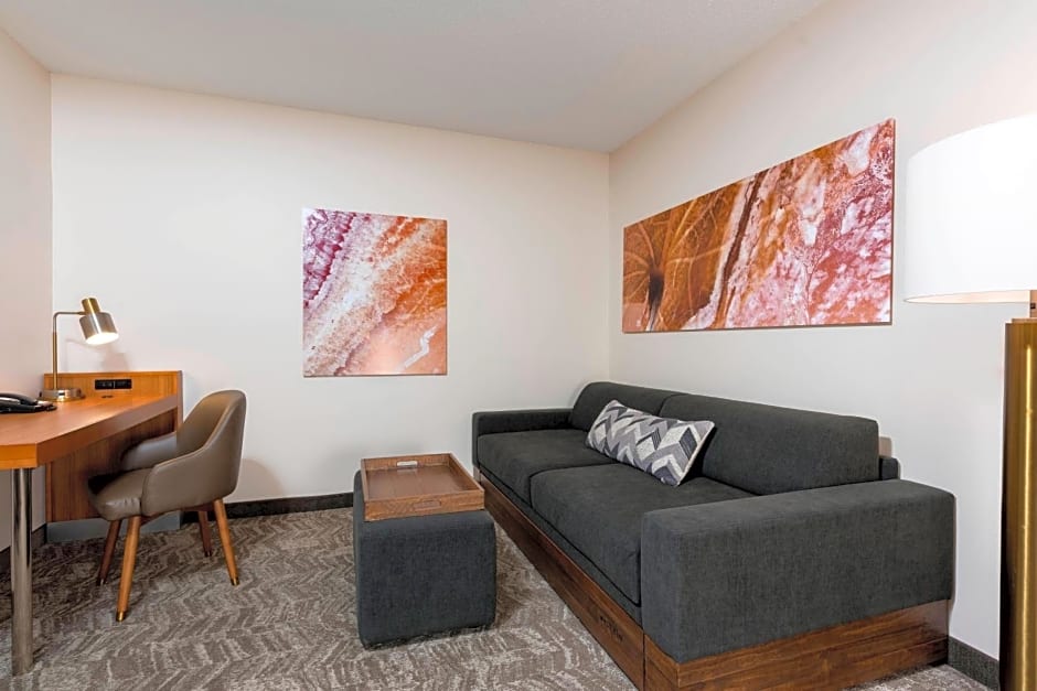 SpringHill Suites Grand Rapids North
