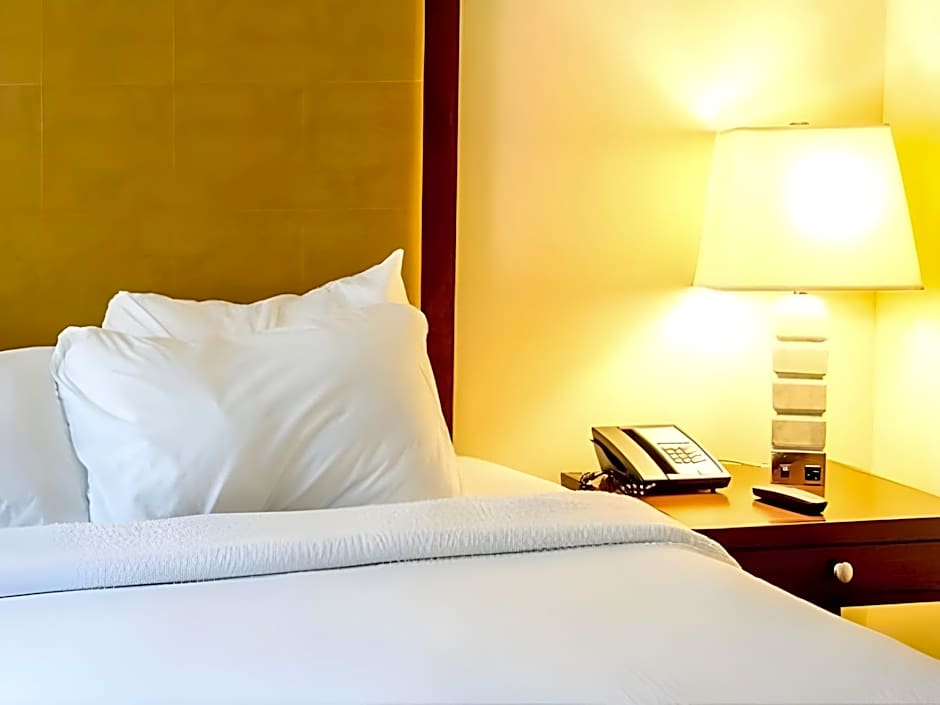 9h nine hours Sendai