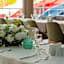 Dalaman Airport Lykia Resort Hotel and Spa