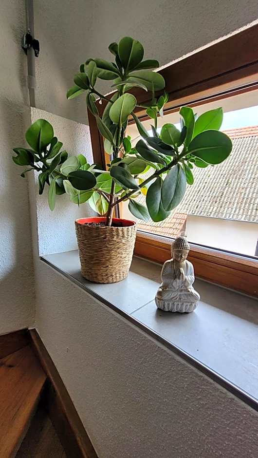 das Höfchen Stadecken