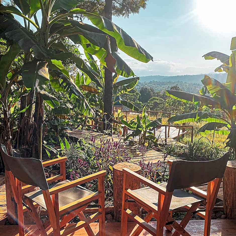 Foresight Eco Lodge & Safari