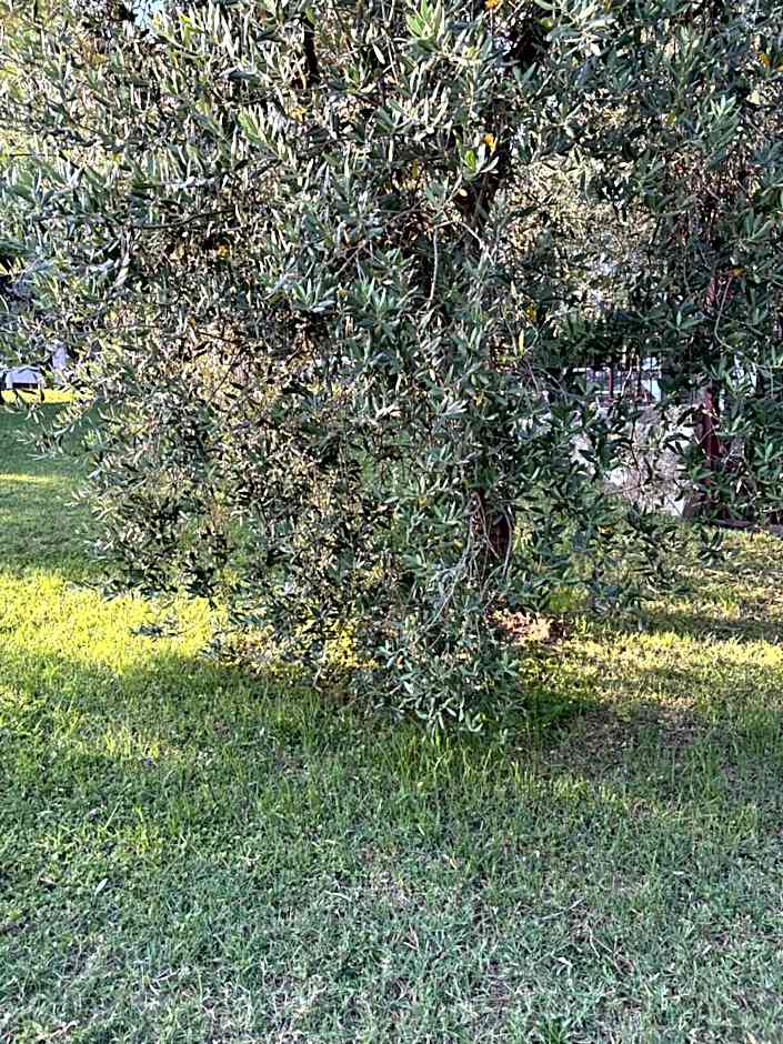 San Rocco Relais