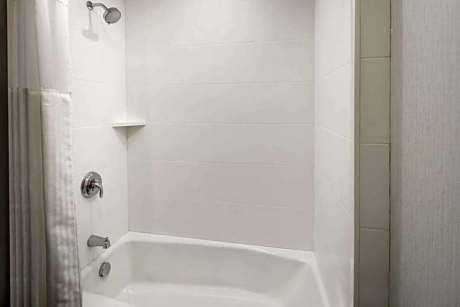 Hilton Garden Inn Dfw Airport South