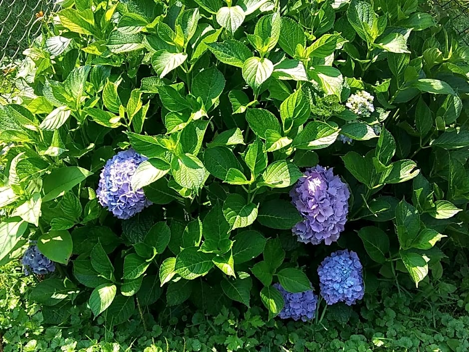 President Inn & Suites