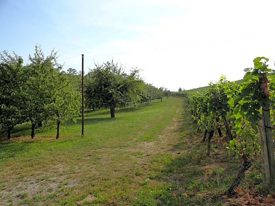 Bed and Breakfast Wegmann