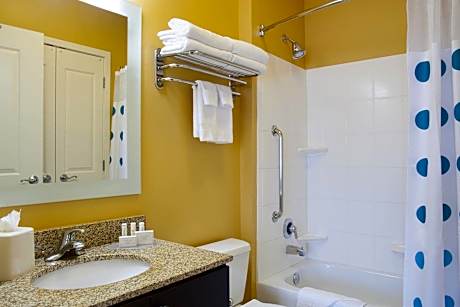 Suite, 1 Bedroom (1 Queen Bed and 1 Double Sofa Bed)