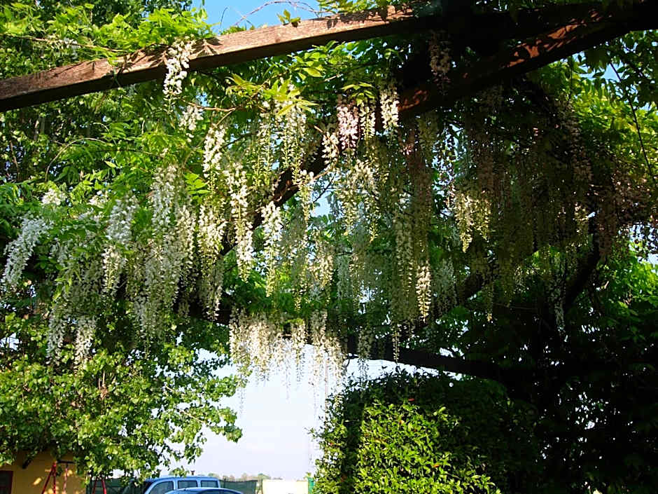 B&B Il Pioppo E La Fonte