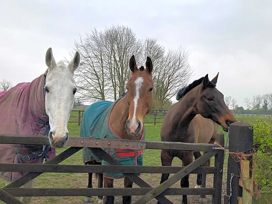 Overtown Manor Bed and Breakfast