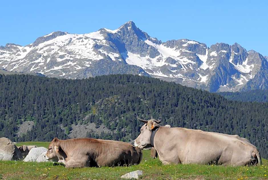 Aparthotel El Refugio de Aran Vielha