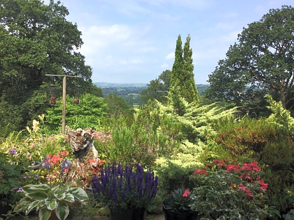 Dwynant - A Room with a View