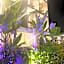 Hotel Bijou