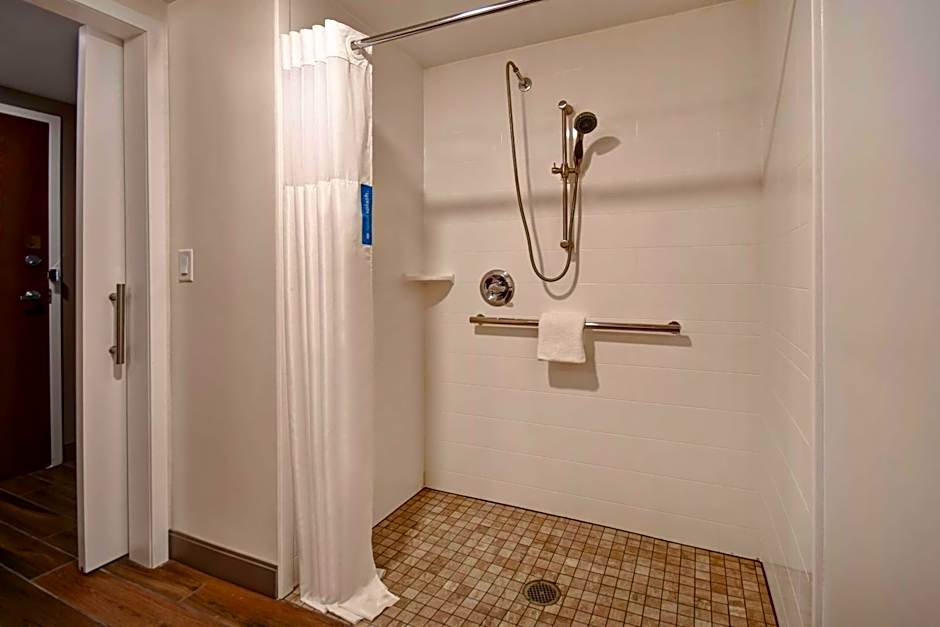 Hampton Inn By Hilton Birmingham-Colonnade 280