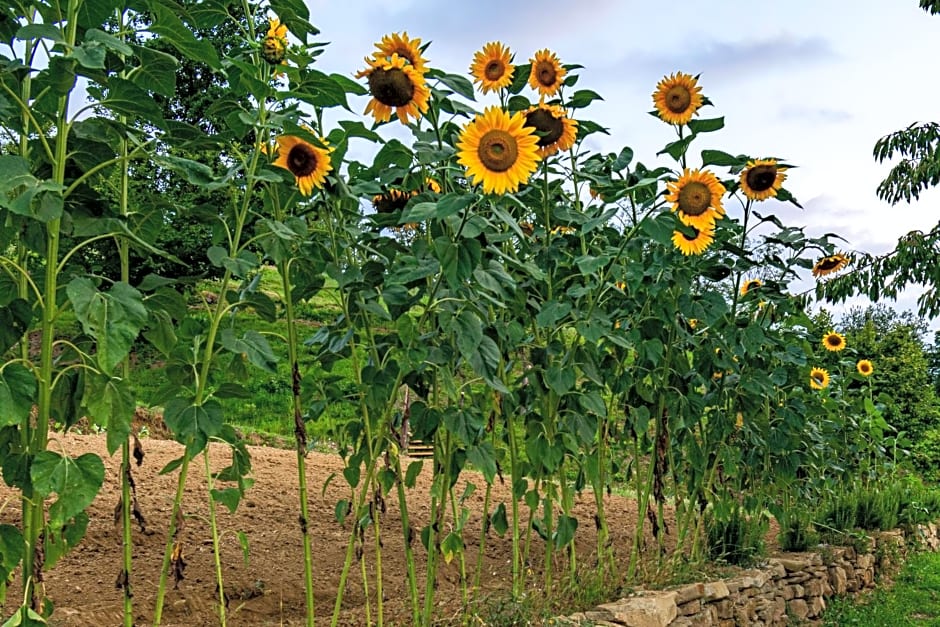 B&B Cascina Sant'Elena