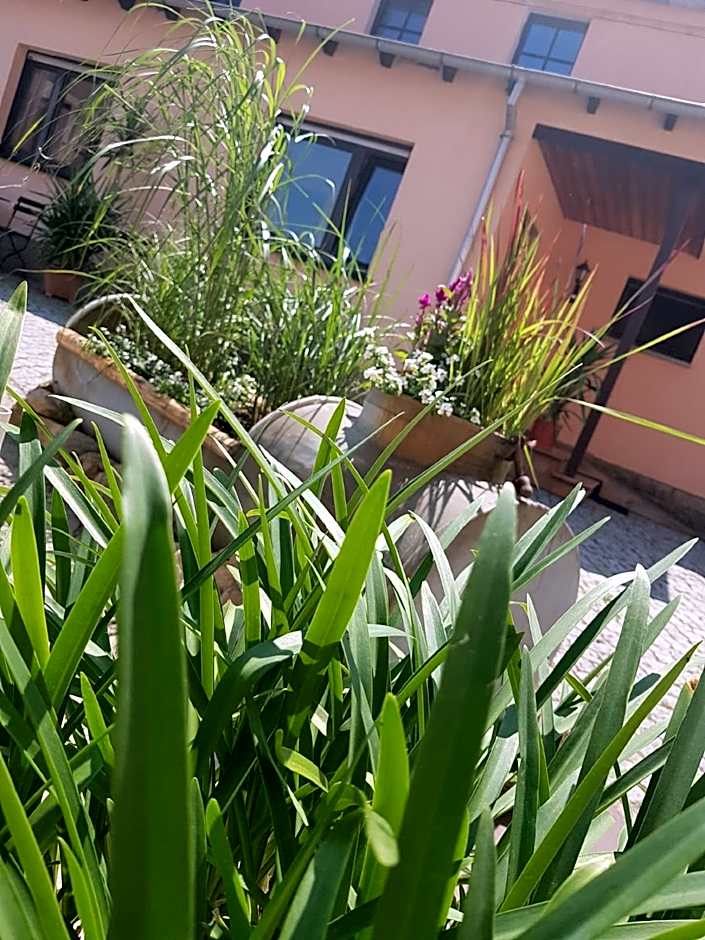 Hotel "Pension Marlis" garni