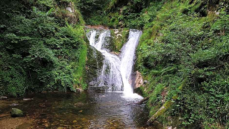Ehrenmättlehof Faißt