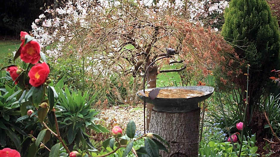 Green Gables B&B Waterfront Apartment or Garden Studio