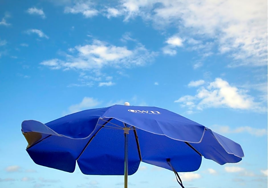 Own Ipanema Visconti