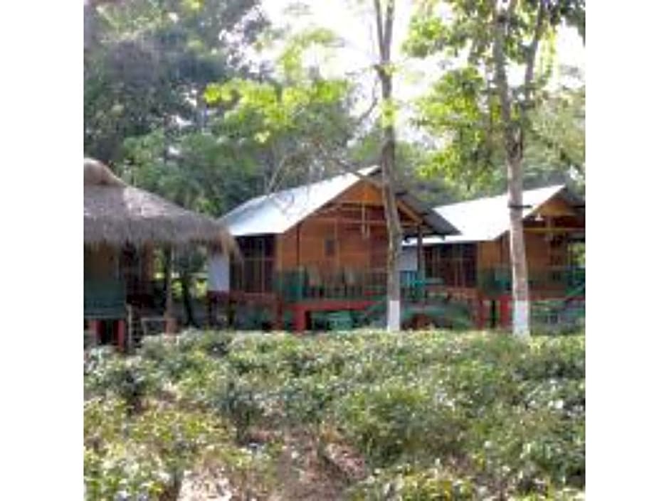 Nature Hunt Eco Camp Kaziranga 