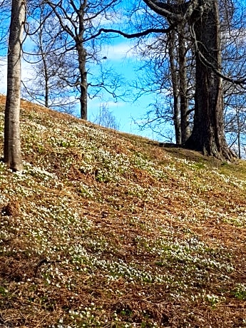 Pilegrimsherberge InnomHaug