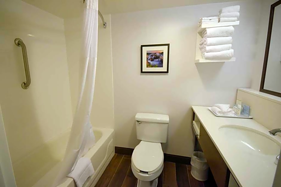 Hampton Inn Salem East-Electric Road