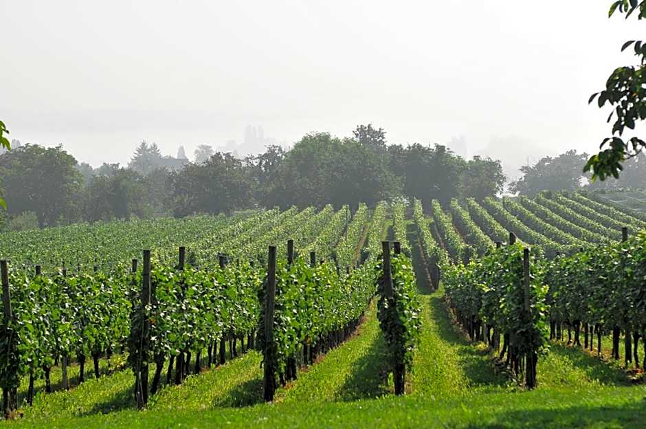 Hotel mein inselglück
