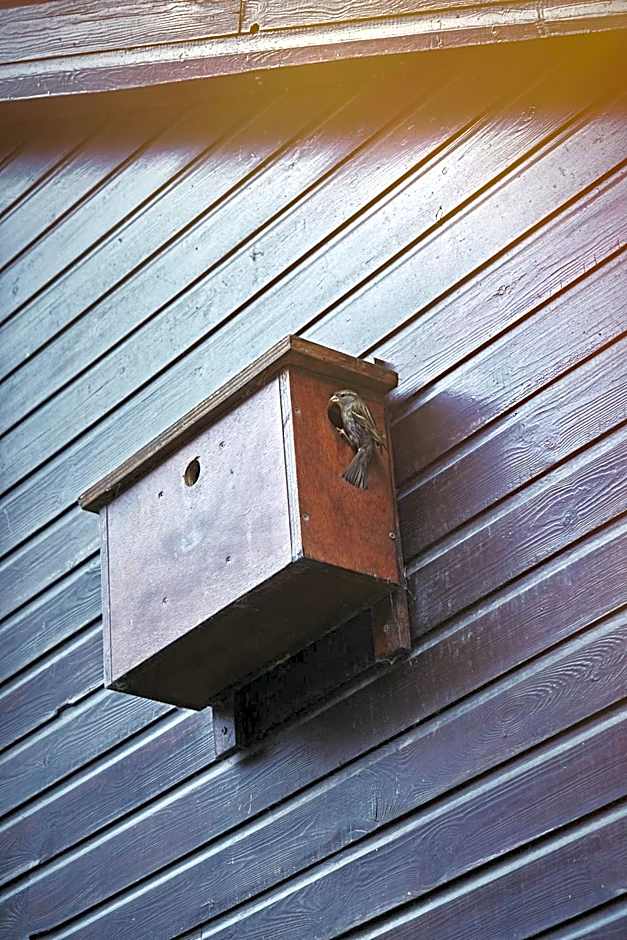 B&B Maas en Heuvel Maastricht