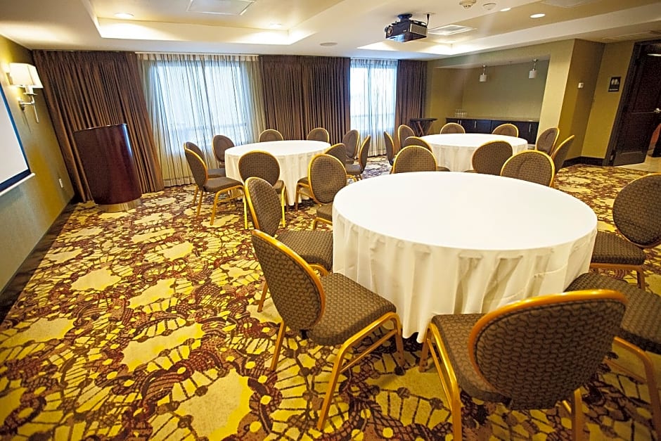 Crowne Plaza Houston Galleria Area By IHG